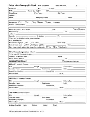 Fillable Online Patient Information Physical Therapy Partners Fax