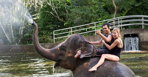 Bathe And Breakfast With Elephants Experience At Mason Elephant Park In