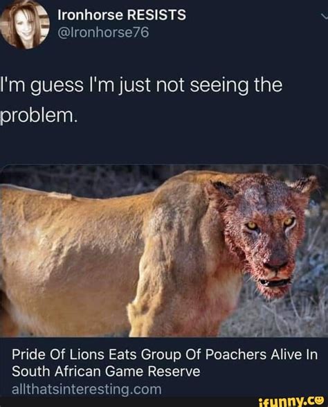 Yo Wassup Shawty Could Get Some Ass Pics IFunny