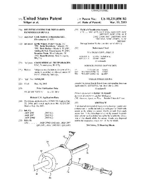 Pdf Delivery System For A Preloaded Fenestrated Device Kevin Wilger