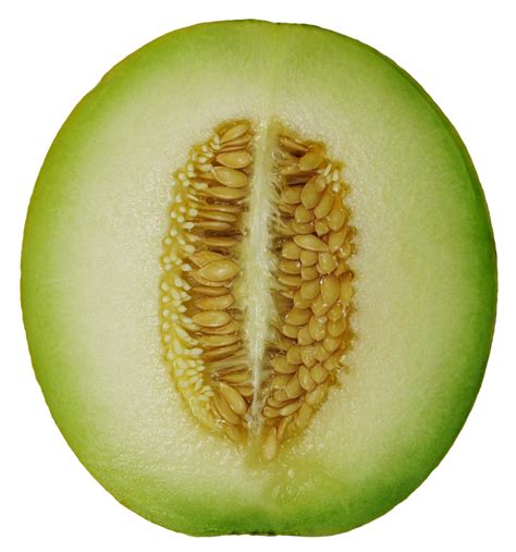 Honeydew Melon PNG Photo Image PNG Play