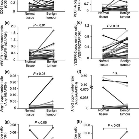 The Expression Of Angiogenesis‐related Genes In Canine Benign Tumour