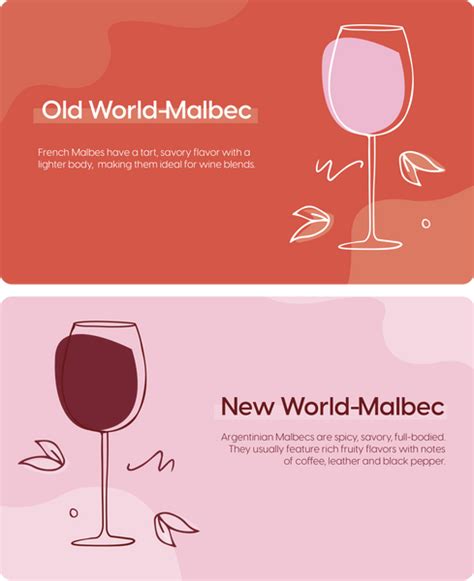 Old World Wine vs New World Wine – In Good Taste