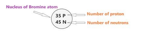 Bromine Bohr Model - How to draw Bohr diagram for Bromine (Br) atom