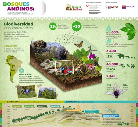 Bosques Andinos A Os Dejando Huella Cooperaci N Suiza En Per