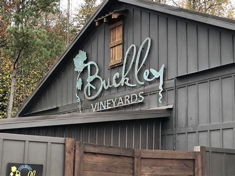 Your Ultimate Guide to the Wineries in Ellijay, Georgia - Mountain Vibe ...