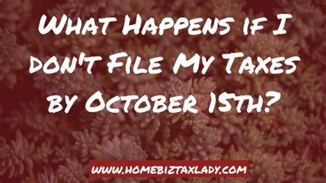 What Happens If I Don’t File My Taxes By October 15th Home Biz Tax Lady