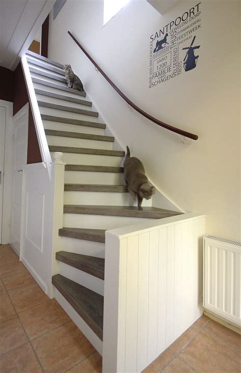 Choosing the Right Staircase for Your Home with Pets