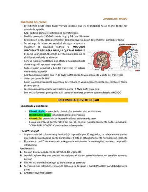 4 Enfermedad Diverticular Sofi Apuntes UDocz