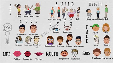 Adjectives to Describe People | Physical Appearance • 7ESL