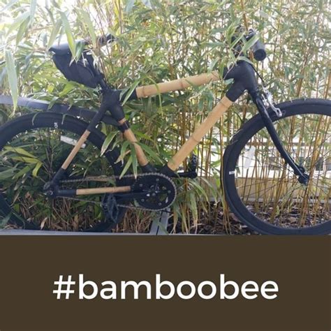 Bamboo Bikes Blend Well With Nature As Quite Evidently Seen In The