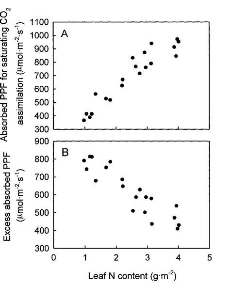 Relationship Between Leaf N Content And A The Light Saturation Point