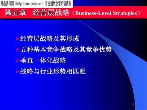 竞争策略 经营层五种基本竞争战略及其竞争优势 Ppt66页 Word文档在线阅读与下载 无忧文档