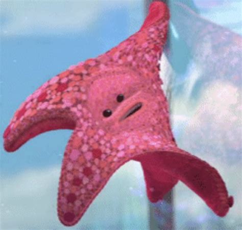 Starfish Finding Nemo