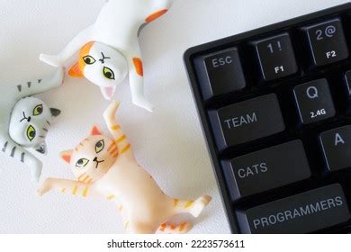 3 Keyboard Cat Meme Images, Stock Photos & Vectors | Shutterstock