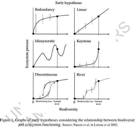 PDF Biodiversity And Ecosystem Functioning Basic Principles