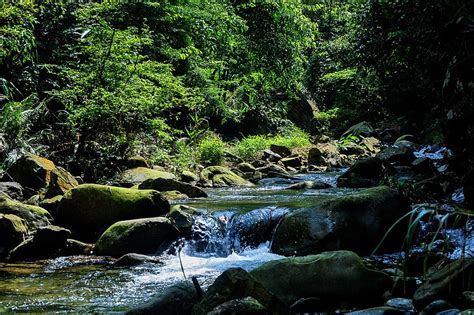 Mountain Stream Background, Landscape, Scenery, Natural Background Image for Free Download