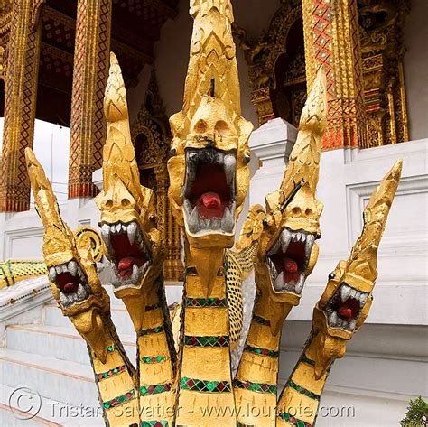 five headed snake Nāga temple luang prabang laos