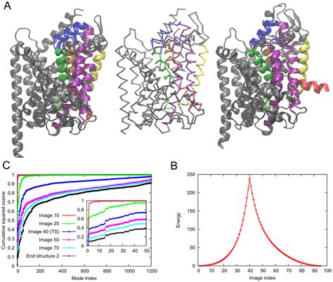 Exploring The Conformational Transitions Of Biomolecular Systems Using