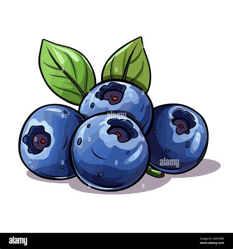 Blueberry Hand Drawn Comic Illustration Blueberry Vector Doodle Style