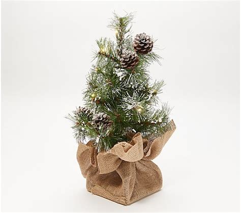 Bethlehem Lights 14" Lit Flocked Tabletop Pine Tree - QVC.com