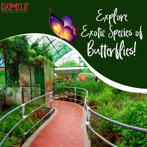 10 Butterfly Park ideas | butterfly park, park, theme park