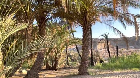 Tabuk Elim 12 Springs And 70 Palm Trees Youtube