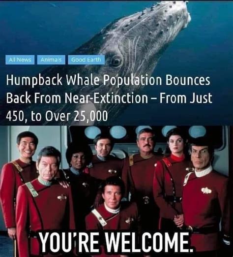 Was there a Star Trek episode mentioning Humpback Whales? : r/PeterExplainsTheJoke