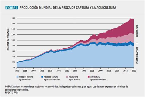 Sofia El Considerable Crecimiento De La Acuicultura Lleva A La