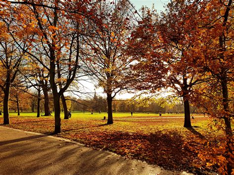 Greenwich Park On An Autumn Afternoon : r/travel