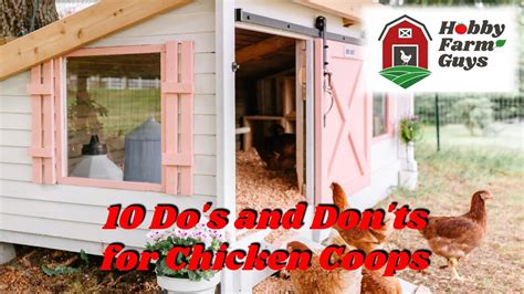 10 Do S And Don Ts For Your Chicken Coop YouTube