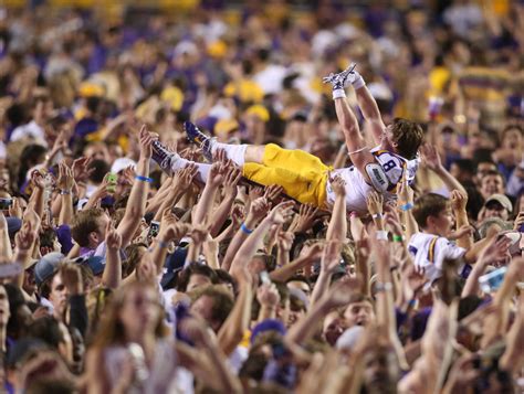 Photo Lsus Trey Quinn Went Crowd Surfing After Victory Over Ole Miss