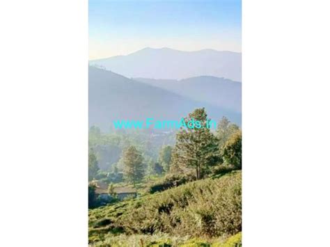 105 Acre Farm Property For Sale In Ooty