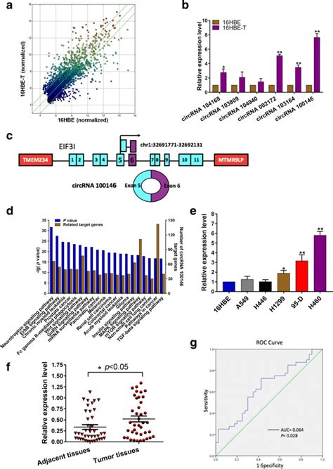 Circular Rna Functions As An Oncogene Through Direct Binding To