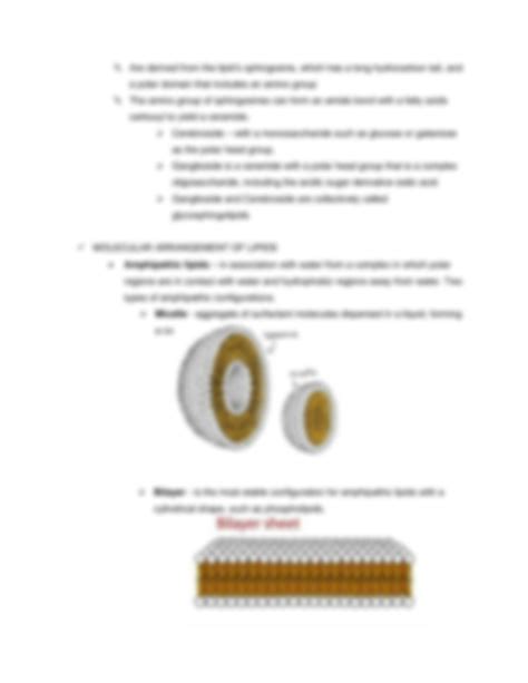 SOLUTION: Lipids and membrane synthesis notes - Studypool