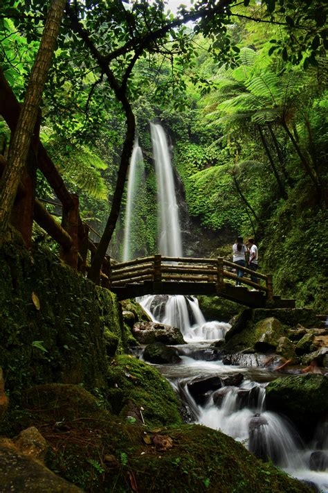 Jungle Waterfall Photos, Download The BEST Free Jungle Waterfall Stock ...