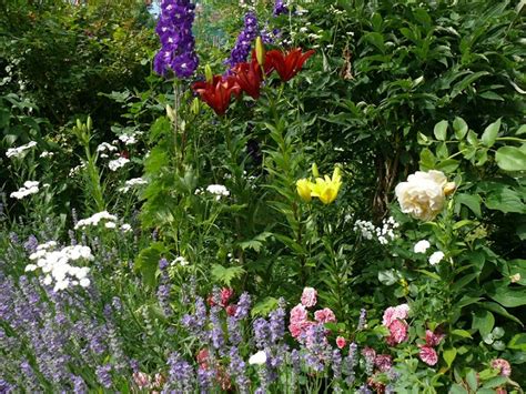 Лилиум (1) - Page 163 - Форум HobbyKafe.com