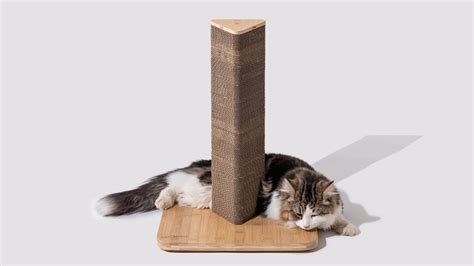 How To Build The Stak Cardboard Cat Scratcher Short Youtube