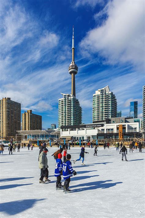 Skating - Harbourfront Centre