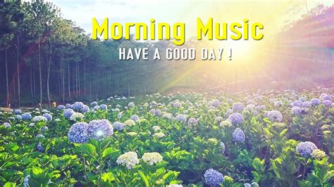 Beautiful Relaxing Morning Music New Positive Energy Wake Up Feel