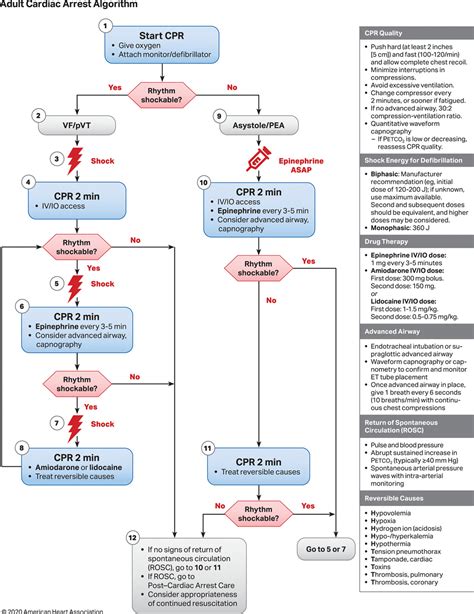 Part 3 Adult Basic And Advanced Life Support 2020 American Heart Association Guidelines For