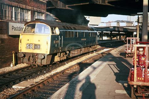 The Transport Library British Railways Diesel Locomotive D1013 Western Ranger Class Br