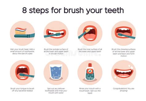 Dental Hygiene Infographic Oral Healthcare Guide Tooth Brushing For