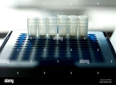 vial storage tray in laboratory Stock Photo - Alamy