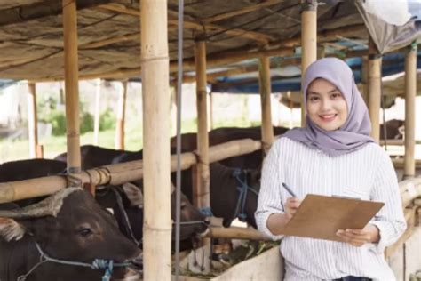 Info Kurban Hukum Fiqih Kurban Syarat Dan Pembagian Daging Kurban