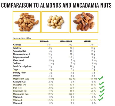 Nuts Nutrition Comparison Chart Besto Blog