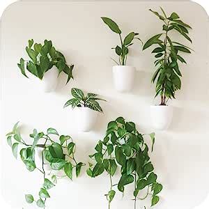 Make Good Virgo Self Watering Wall Planters Set Of Easy To Water