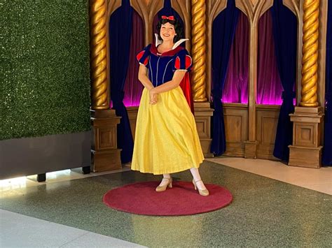 Photos Videos New Distanced Princess Character Meet And Greets With