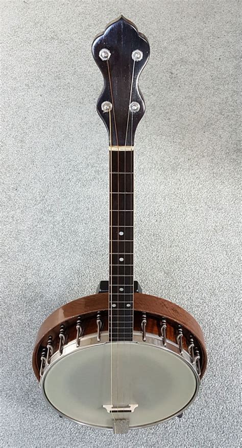 Pure Banjo Washburn Style C Short Scale Tenor Banjo