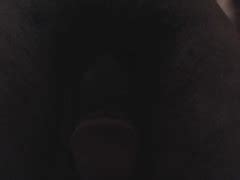 New Verum T Rex S Porn Videos Pornhub